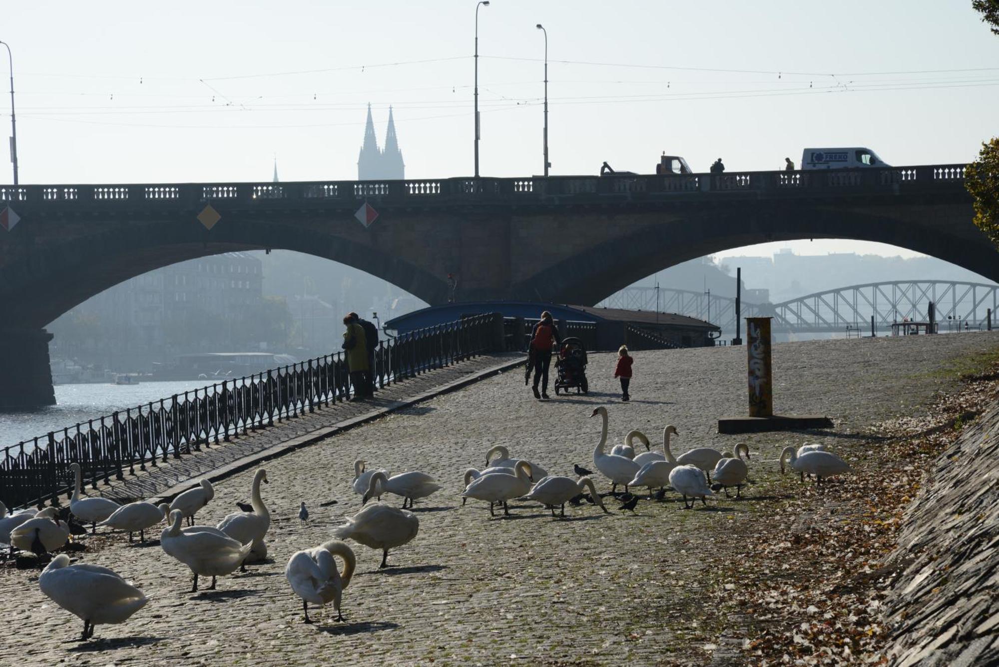 Luxurious 3bed Very Spacious In The Area Lejlighed Prag